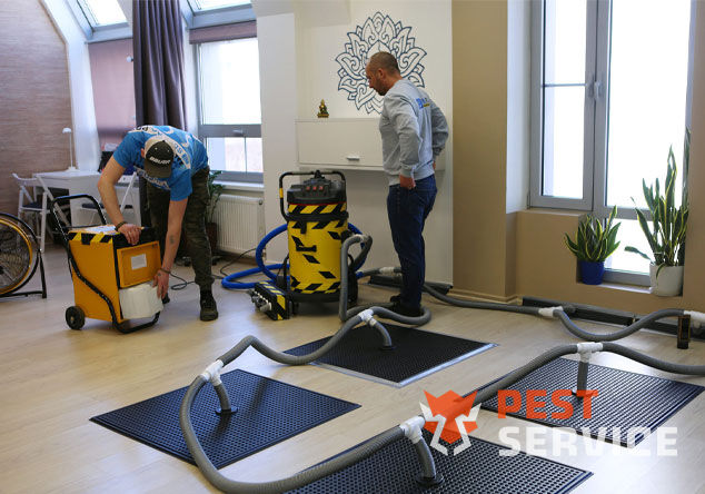 Профессиональная сушка после потопа в Мелеузе от 3000 руб. Быстро устраняем влагу, предотвращаем плесень и повреждения. Современное оборудование и опытные специалисты. Безопасно и эффективно.